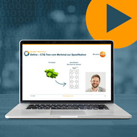 Webinar Six Sigma Ausschnitt aus Webinar Six Sigma